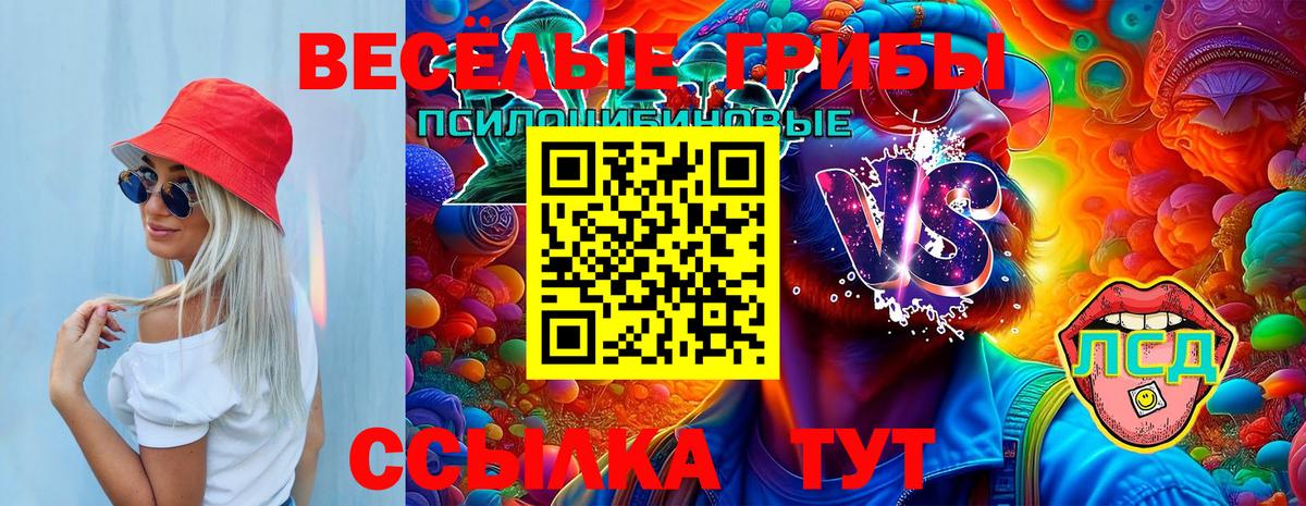 Уссурийск  Псилоцибиновые грибы прущие грибы  Псилоцибиновые грибы мицелий  Вход с VPN 